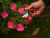 YT-87850_7 YT-87850_7
