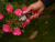 YT-87850_6 YT-87850_6